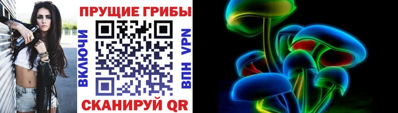 Псилоцибиновые грибы MAGIC MUSHROOMS  где купить наркоту  Приволжский 